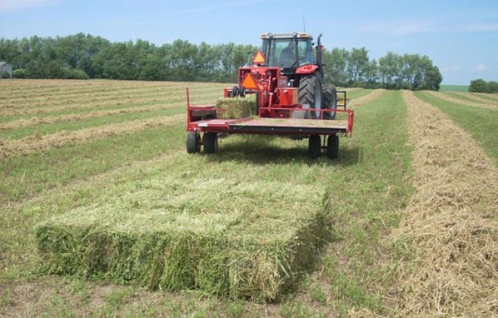 Yayda 1-2, qışda isə 3-4 manata satılır