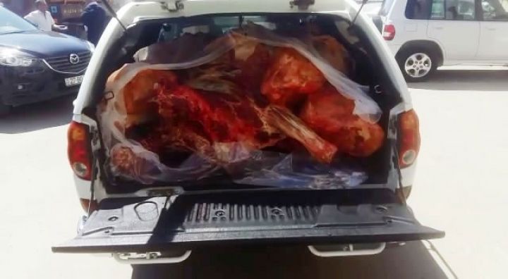 Laboratoriya "Azərsun"un zavoduna aparıldığı iddia edilən əti yoxladı - NƏTİCƏSİ