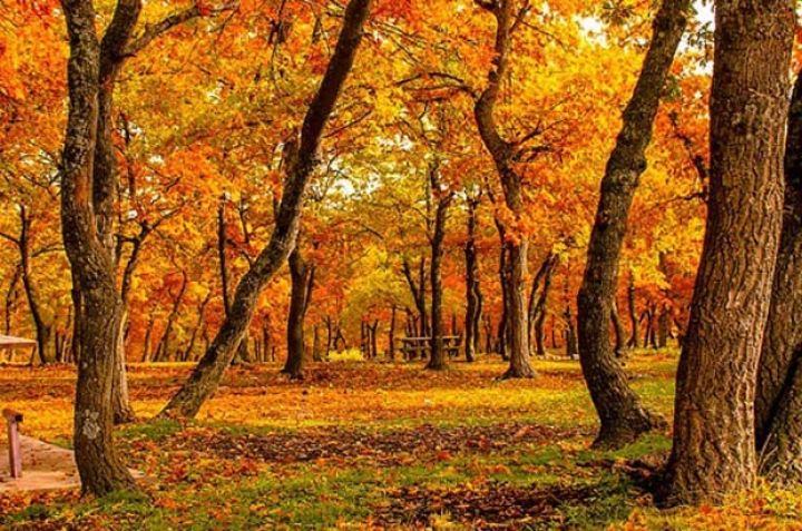 Sabah ölkə ərazisində gözlənilən hava şəraiti açıqlanıb