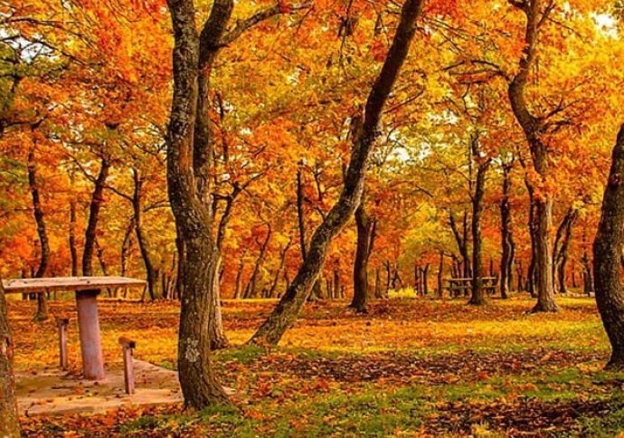 İstirahət gününə olan hava proqnozu açıqlanıb