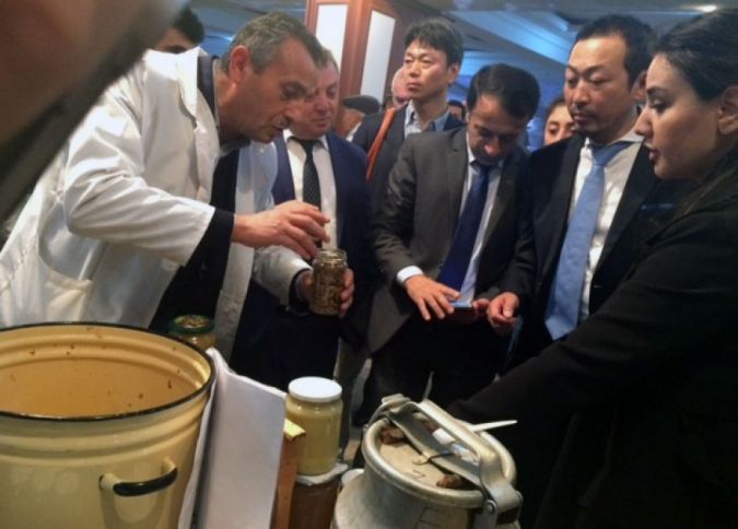 Yaponiya şirkəti Azərbaycandan bal idxal edəcək - RAZILAŞMA