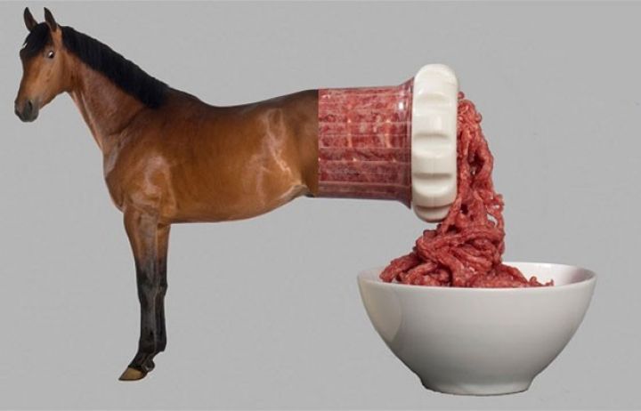 Azərbaycandan ixracı 7 dəfəyə yaxın artdı - 7619 baş  