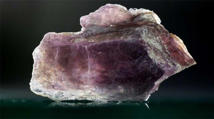 Litium bazarında böyük satınalma