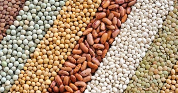 Toxum almaq istəyənlərin nəzərinə ®