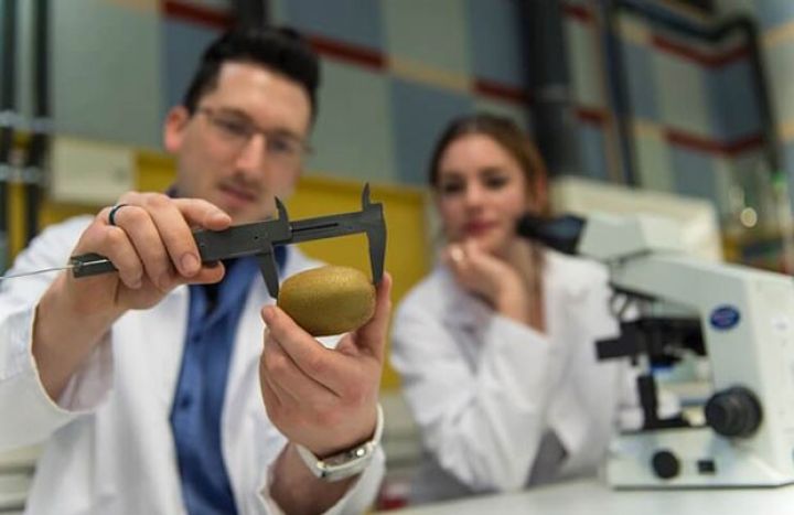 Baytarlıq təhsili olan mütəxəssislər tələb olunur