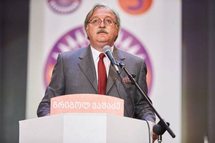 Gürcüstan müxalifəti növbədənkənar seçkilərin keçirilməsini tələb edir