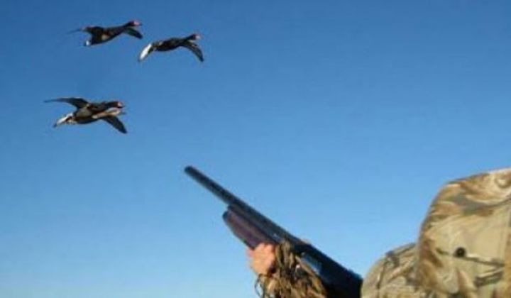 3 nəfər 4 min manat cərimələndi