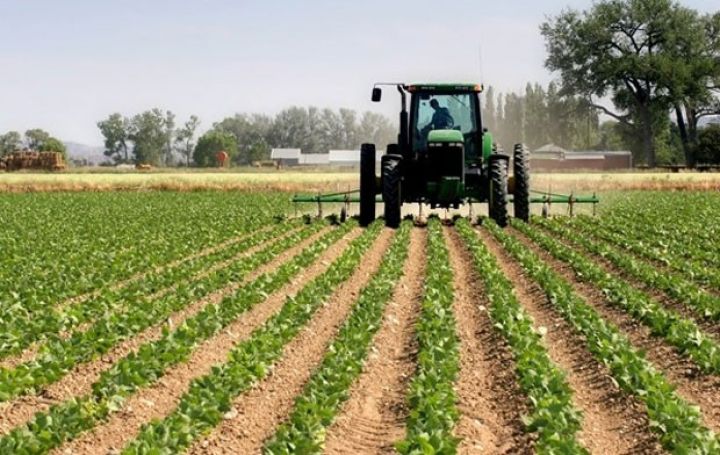 "Kənd təsərrüfatının sığortalanması ilə bağlı konkret vaxt qoyulmalıdır"