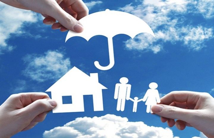 Azərbaycanın sığorta sektorunda qısamüddətli aktivlərin xüsusi çəkisi azalıb