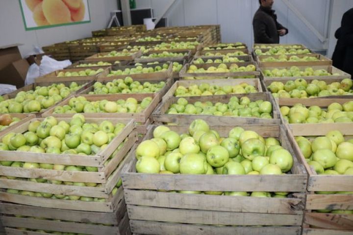 Kənd təsərrüfatı məhsulları şirkətinin  kapitalı artırılır