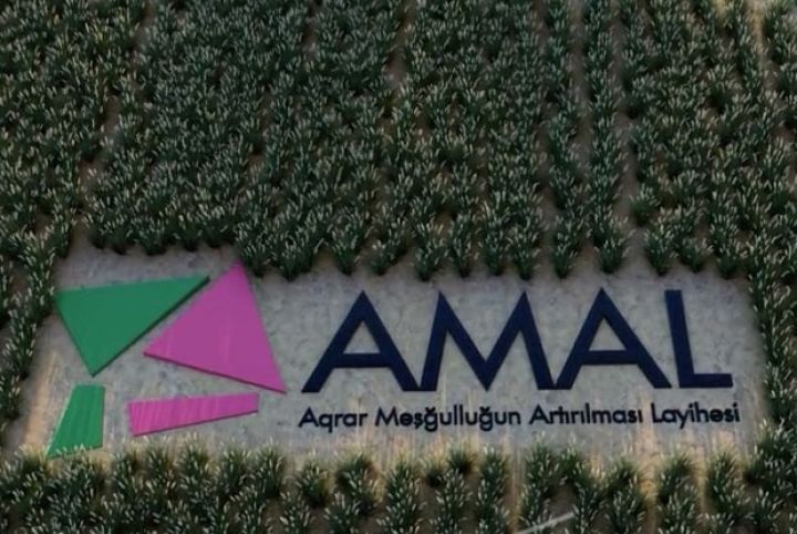 AMAL-a qoşulanlara azı 2 min manat maliyyə dəstəyi veriləcək