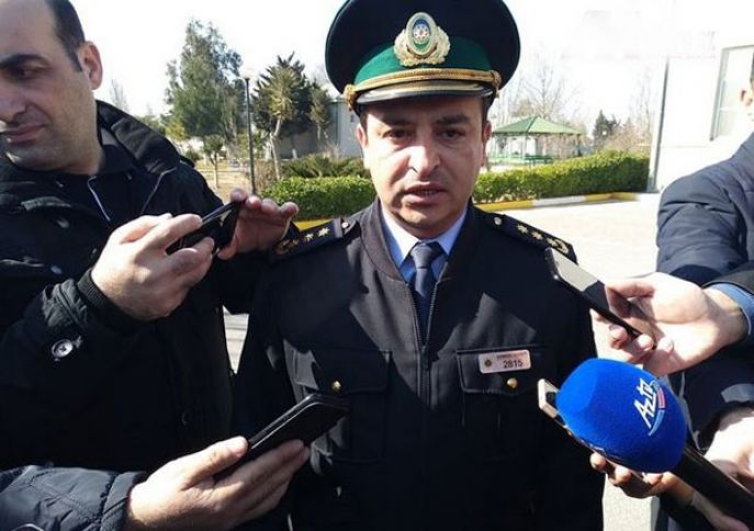 “Çoban itinin saxlanma xərci 1-2 min manatdır”