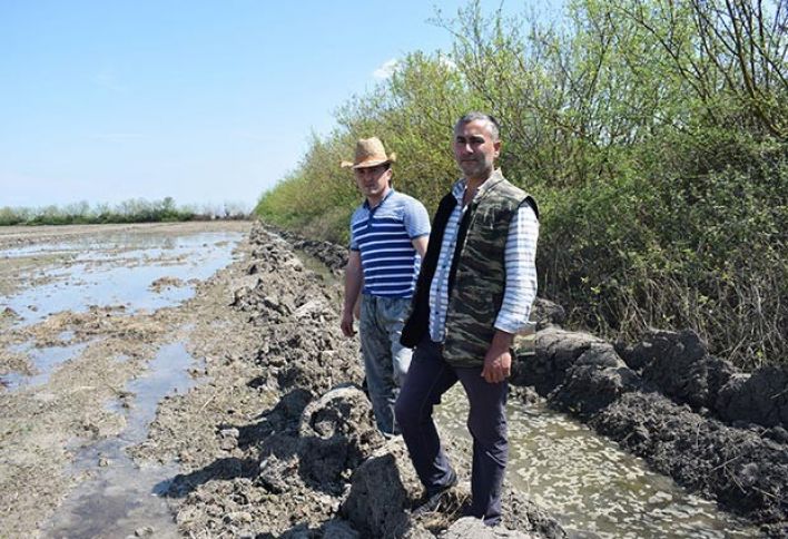 "Qrunt suları torpaqları sıradan çıxarır, Meliorasiya heç bir iş görmür"