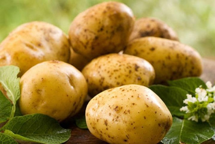 Bu il Azərbaycan Almaniyadan da kartof idxal edib