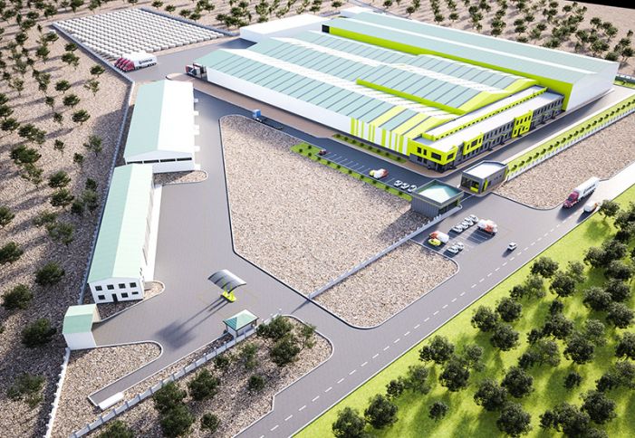 “Grand-Agro” süfrəlik zeytun və zeytun yağı istehsalı kompleksinin inşasına başlayır