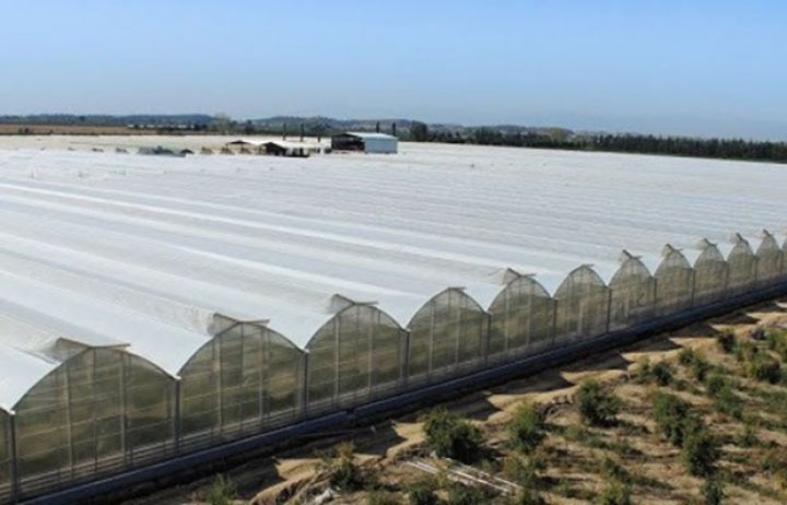 “Azəriqaz” məhkəmələrdən narazıdır - "BORCLAR SÜNİ ARTIR"