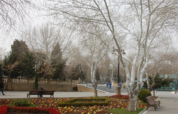 Sabahın hava proqnozu açıqlandı