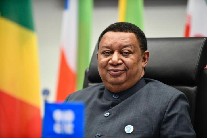 "Bu il qlobal neft tələbatı sutkada 96 milyon barrelə yüksələcək"