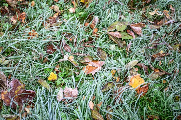 Sabaha gözlənilən hava proqnozu açıqlandı