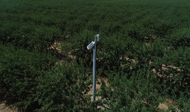 “AZBADAM” ağıllı idarəetmə sistemlərinin tətbiqinə başlayıb - FOTOLAR
