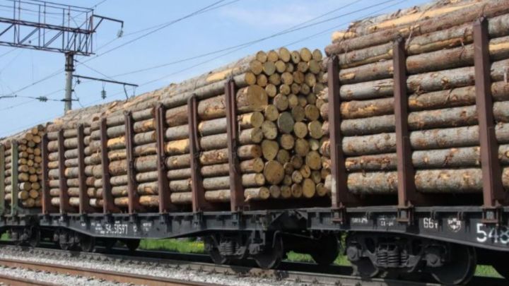 Yakutiyada baş verən yanğınlar fonunda Rusiyadan taxta ixracı artıb