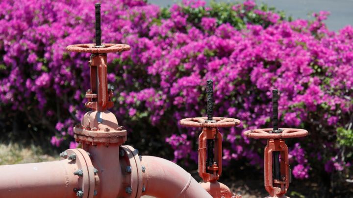 Avropada qazın qiyməti ilk dəfə 950 dolları keçdi - YENİLƏNİB