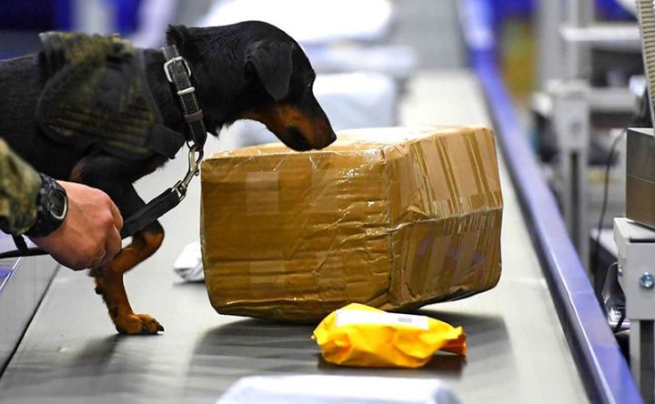 Xarici ticarətlə məşğul olanların sayı 12 mindən çox artıb