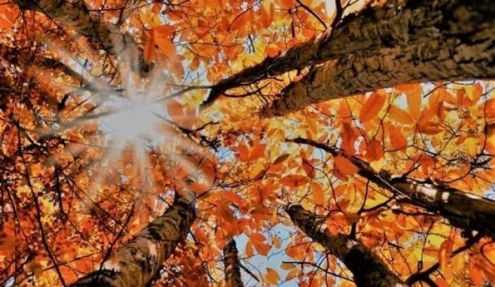 Oktyabrın 9-da gözlənilən hava şəraiti