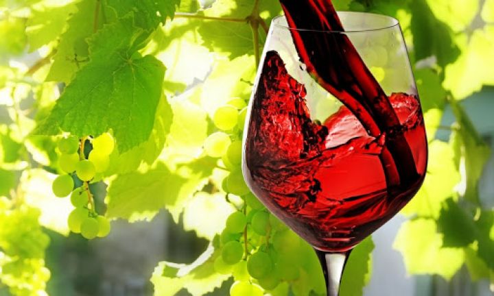 Azərbaycanın şərab şirkəti investisiyanın cəlb edilməsini müzakirə edəcək