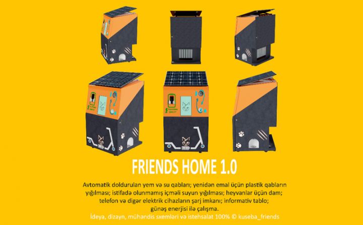 Hər kəs sahibsiz heyvanları xilas edə bilər!