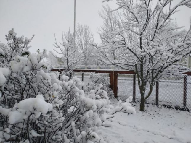 Sabahın hava proqnozu