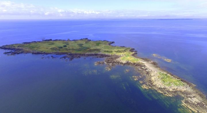 186 min dollara ada satılır