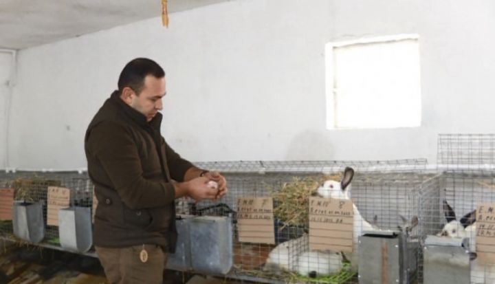 Əvvəl hobbi kimi baxırdı, sonradan təsərrüfat yaratdı