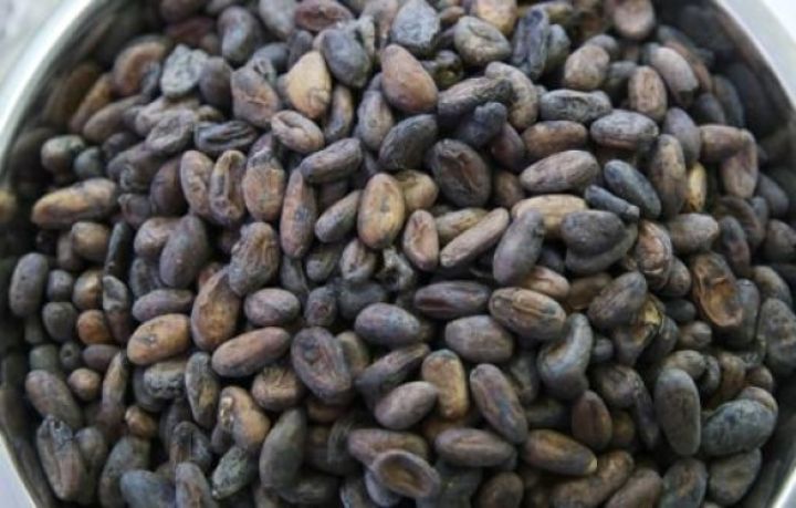 Kakaonun qiyməti 1977-ci ildən bəri ən yüksək səviyyəyə çatdı