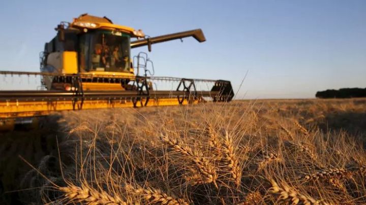 Qlobal Ərzaq Qiymətləri İndeksi oktyabrda son 18 ayın ən yüksək səviyyəsinə çatıb