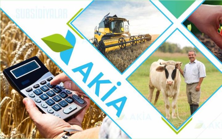 3360 şəxsə 63,4 milyon manat güzəştli kredit verilib