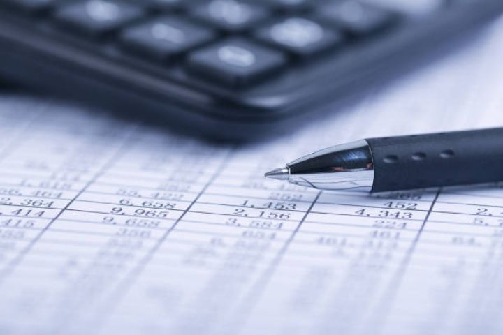 "FİDAN" MMC 2024-cü il üzrə maliyyə göstəricilərini açıqladı