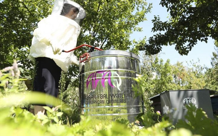 Azərbaycanda ötən il 198 qadın fermerə güzəştli vəsait ayrılıb