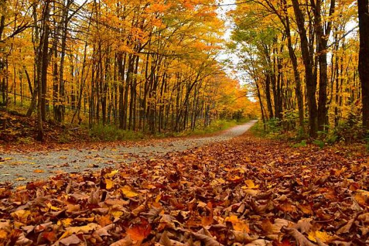 Noyabrın 19-da gözlənilən hava şəraiti