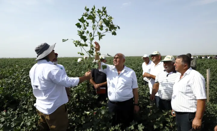 "Prime Cotton" 30 illik yubileyində pambıqçılar üçün ənənəvi “Açıq Tarla Günü”nü keçirdi