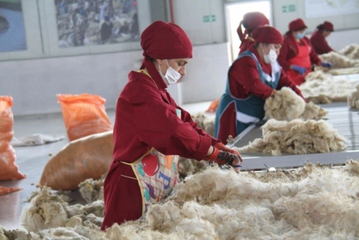 Yevlax Yun Zavodunun əmlakı özgəninkiləşdiriləcək
