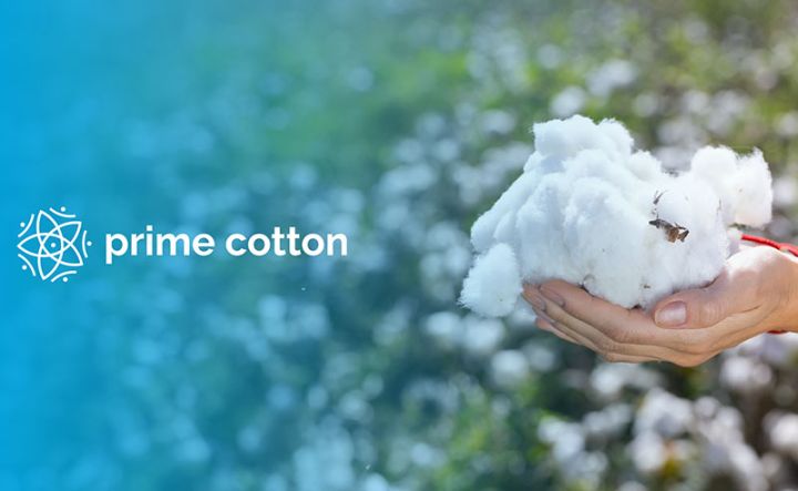 "Prime Cotton" ən çox ixrac gəliri əldə edən özəl Azərbaycan şirkətidir