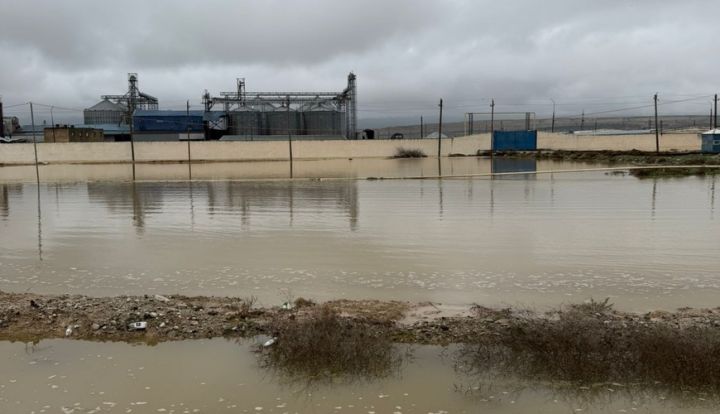 "Sitalçayda acınacaqlı vəziyyət -  quşçuluq təsərrüfatları fəaliyyətlərini dayandırmaq üzrədilər"