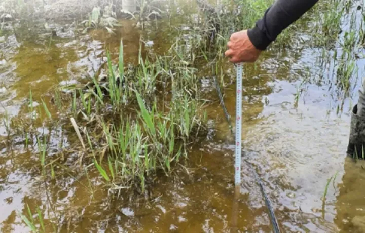 Güclü yağış əkin sahələrinə ziyan vurub - Aqrar Sığorta Fonduna müraciətlər artıb